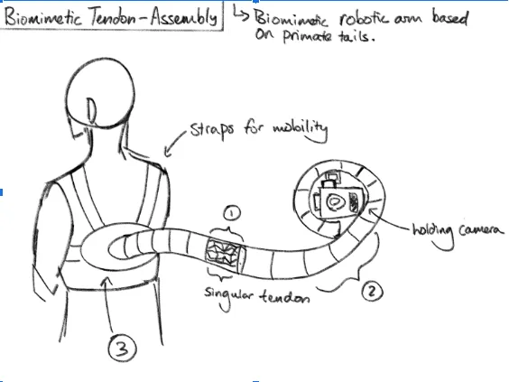 Tendon-Driven Continuum Robot Assembly